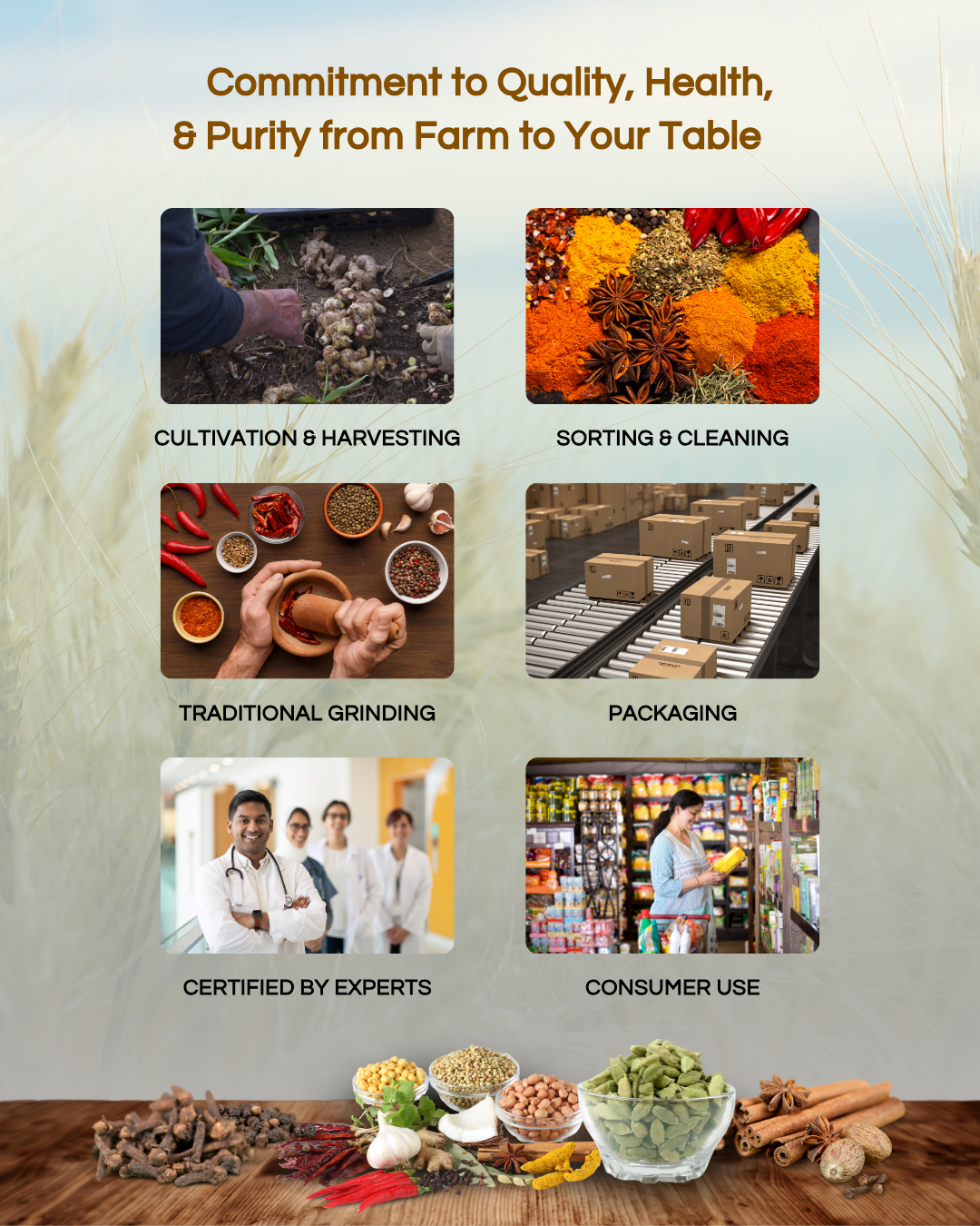 Turmeric Powder